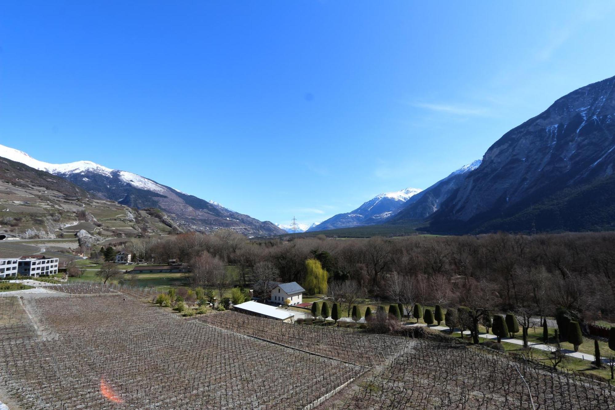 BnB Vino Veritas Salgesch Exterior foto